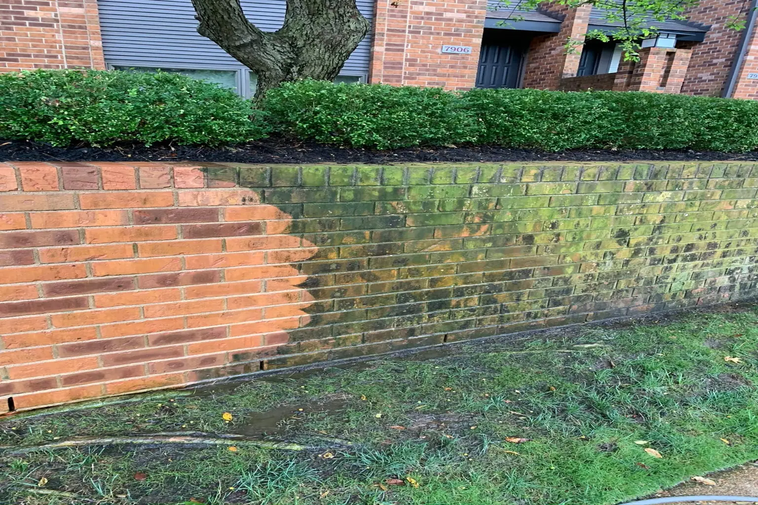 brick-wall-1536x1024-optimized
